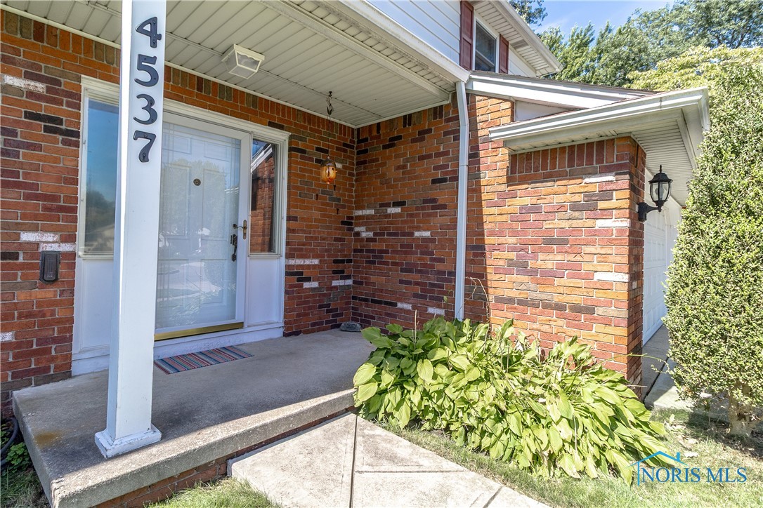 4537 Belfair Court