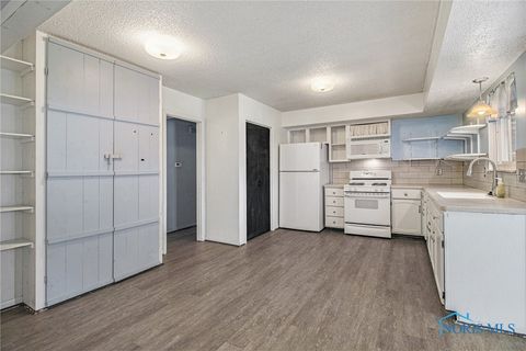 Tiny photo for 215 Hickory Street, Swanton, OH 43558 (MLS # 6136513)