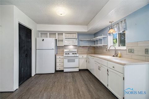 Tiny photo for 215 Hickory Street, Swanton, OH 43558 (MLS # 6136513)