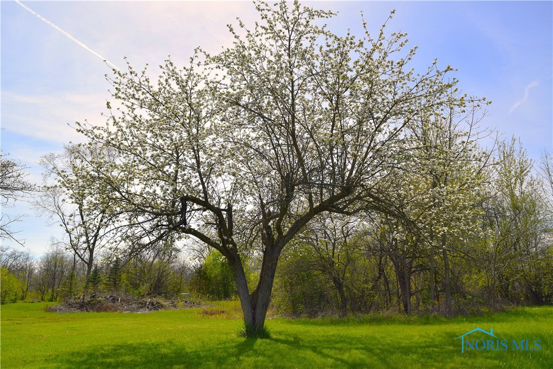 Noward Road, Waterville, Ohio image 31