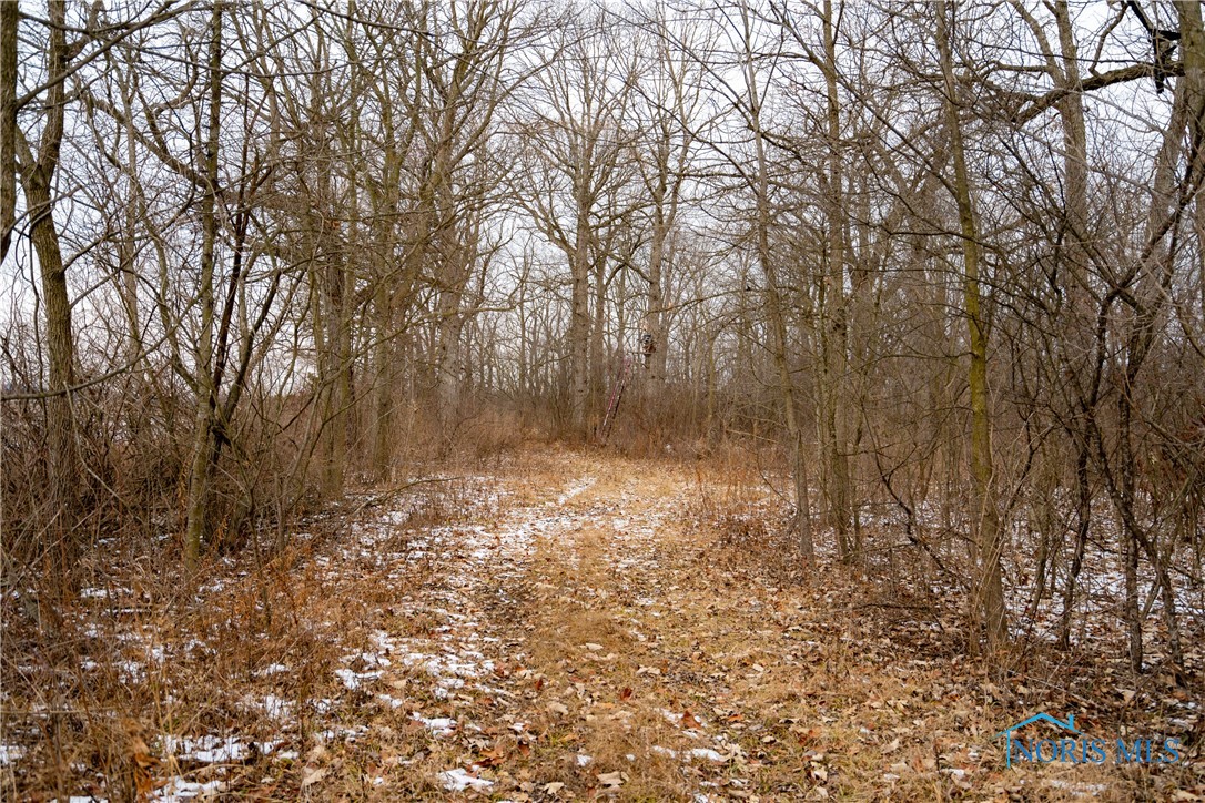 Noward Road, Waterville, Ohio image 11
