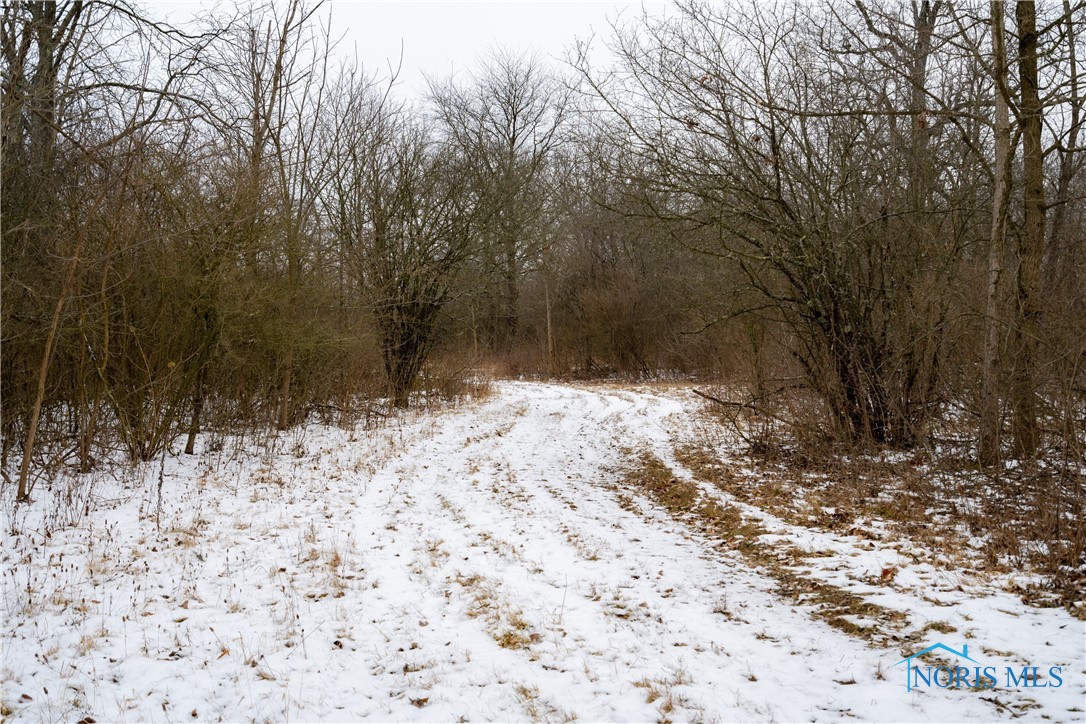 Noward Road, Waterville, Ohio image 5