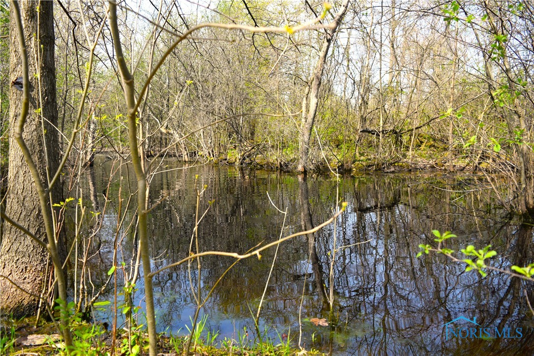 Noward Road, Waterville, Ohio image 34