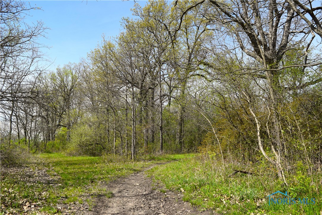 Noward Road, Waterville, Ohio image 35