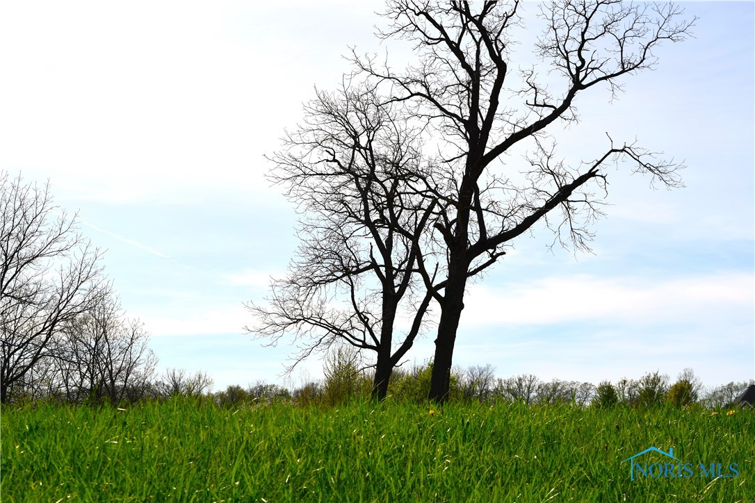 Noward Road, Waterville, Ohio image 40