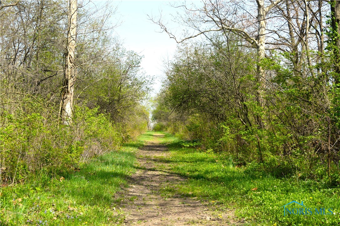Noward Road, Waterville, Ohio image 37