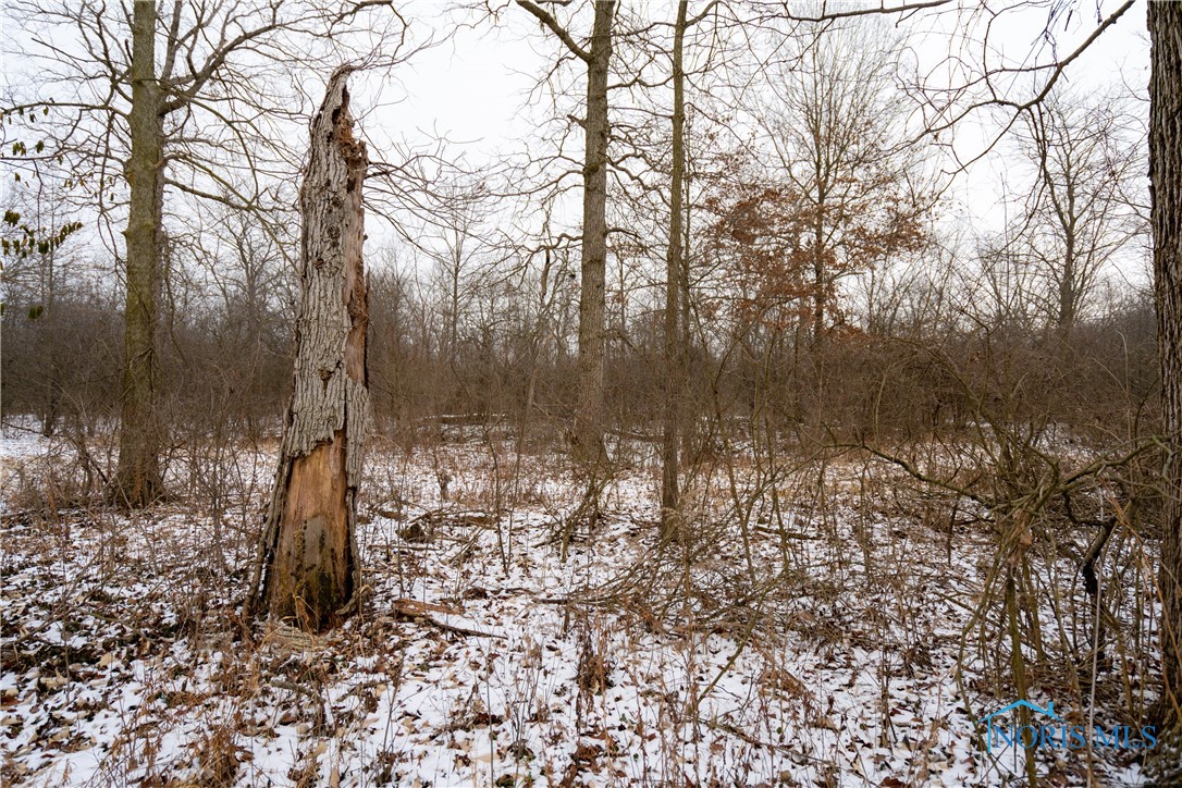 Noward Road, Waterville, Ohio image 13