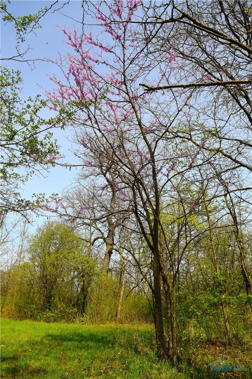 Noward Road, Waterville, Ohio image 33