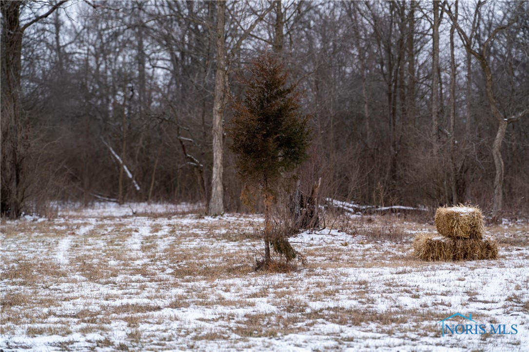 Noward Road, Waterville, Ohio image 20