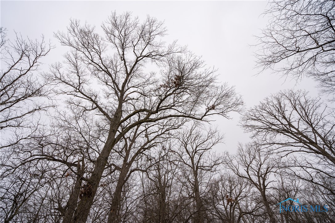 Noward Road, Waterville, Ohio image 6