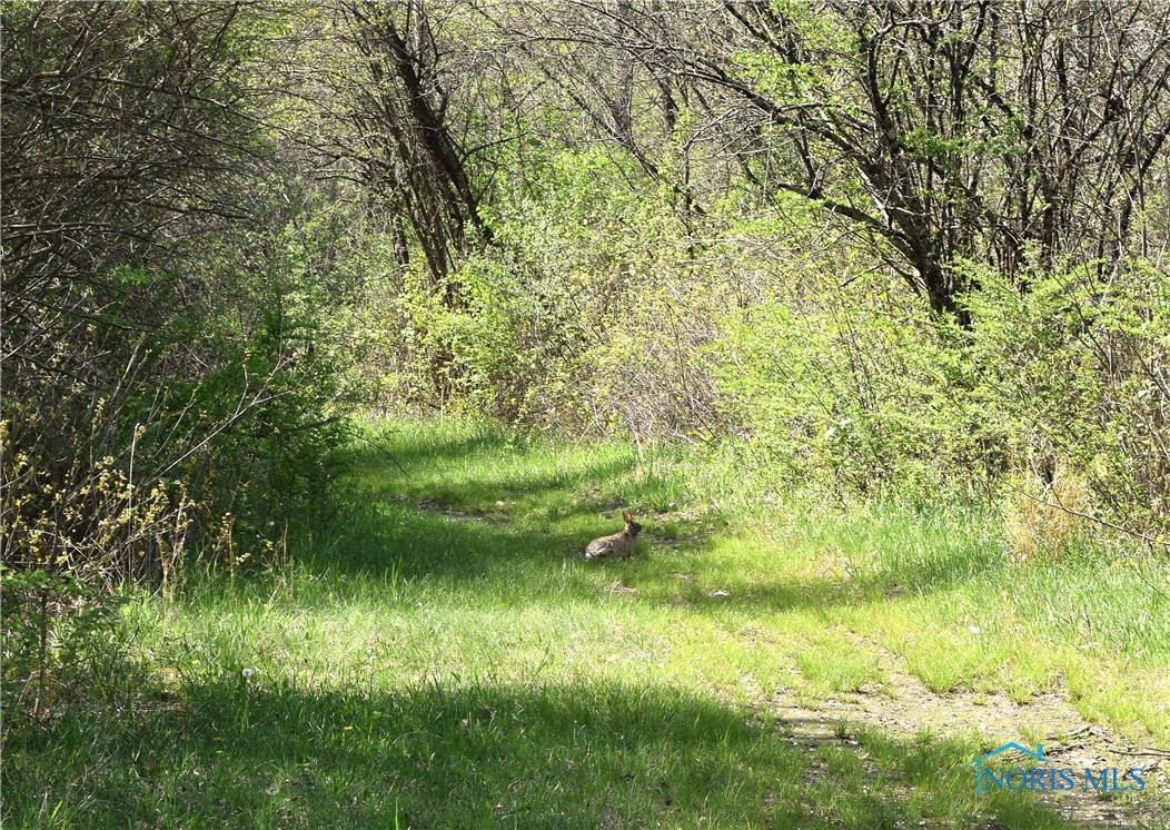 Noward Road, Waterville, Ohio image 39
