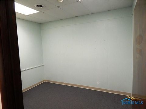 Tiny photo for 125 N Fulton Street, Wauseon, OH 43567 (MLS # 6132284)