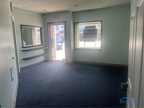 Tiny photo for 125 N Fulton Street, Wauseon, OH 43567 (MLS # 6132284)