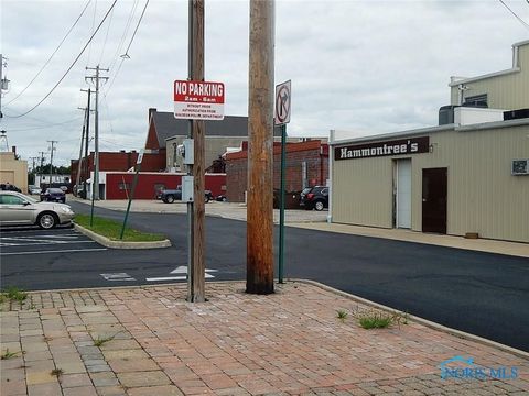Tiny photo for 125 N Fulton Street, Wauseon, OH 43567 (MLS # 6132284)