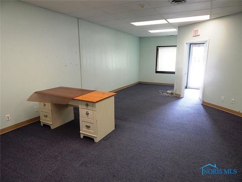 Tiny photo for 125 N Fulton Street, Wauseon, OH 43567 (MLS # 6132284)
