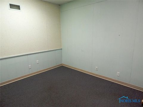 Tiny photo for 125 N Fulton Street, Wauseon, OH 43567 (MLS # 6132284)