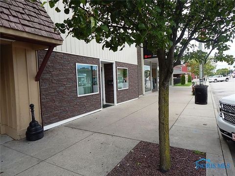 Tiny photo for 125 N Fulton Street, Wauseon, OH 43567 (MLS # 6132284)