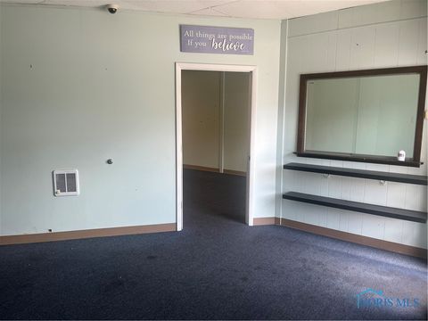Tiny photo for 125 N Fulton Street, Wauseon, OH 43567 (MLS # 6132284)