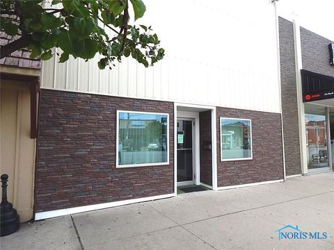 Photo of 125 N Fulton Street, Wauseon, OH 43567 (MLS # 6132284)