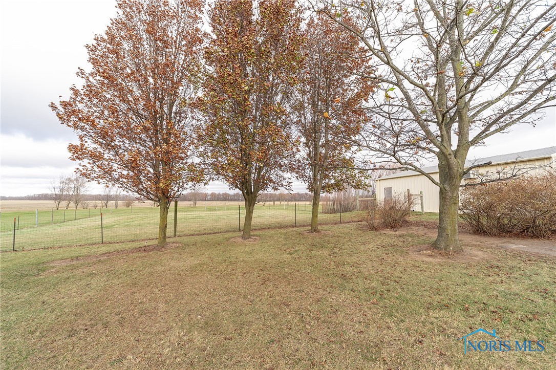 10354 County Road 304, Forest, Ohio image 11