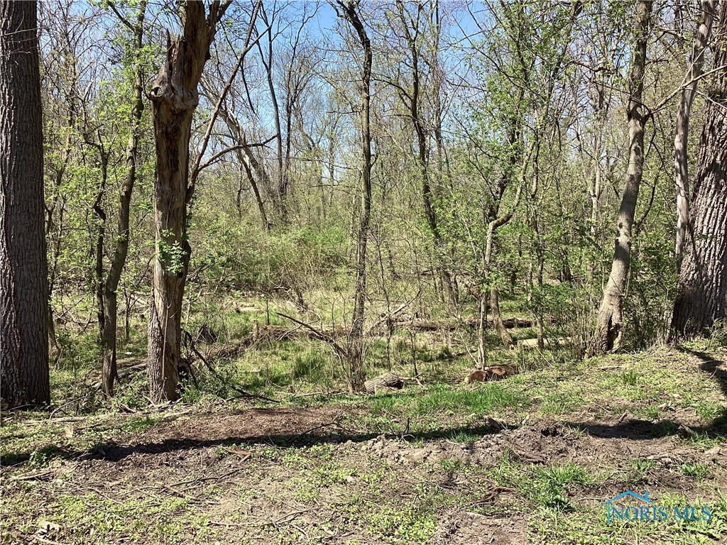 7909 Brint Road, Sylvania, Ohio image 14