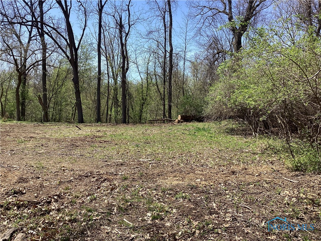 7909 Brint Road, Sylvania, Ohio image 3