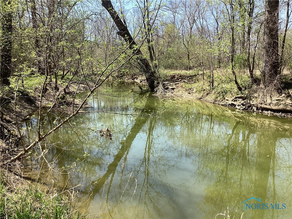 7909 Brint Road, Sylvania, Ohio image 21