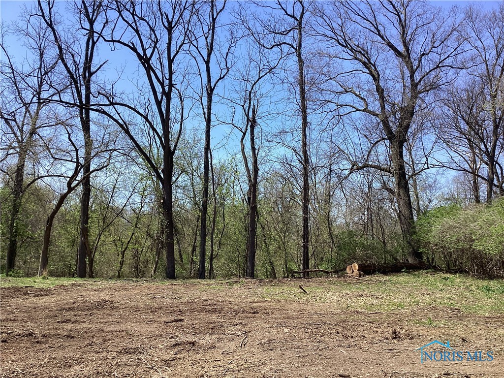 7909 Brint Road, Sylvania, Ohio image 2
