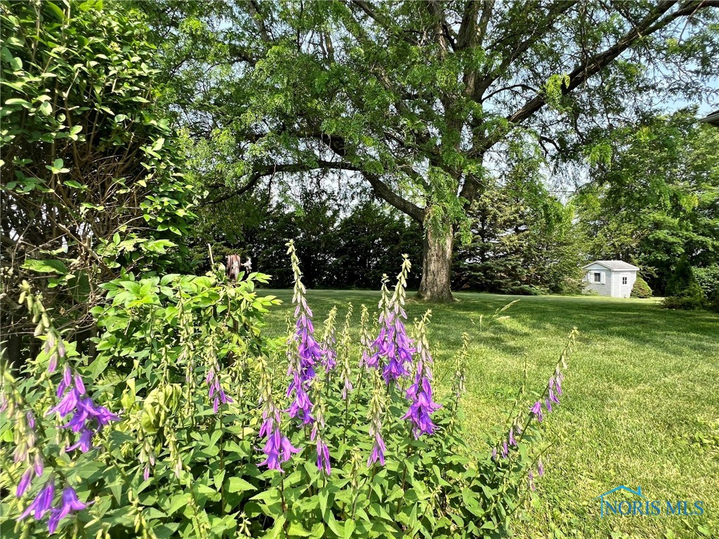 Bloomdale, Ohio 44817, United States, 3 Bedrooms Bedrooms, ,1 BathroomBathrooms,Residential,Active,86429