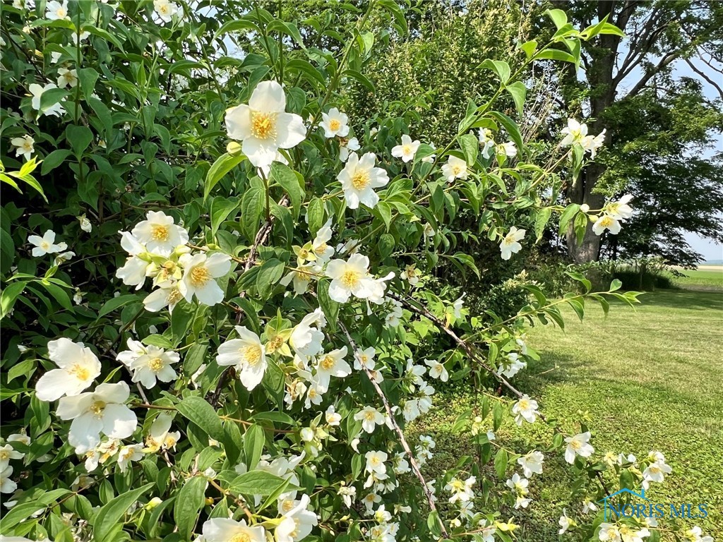 Bloomdale, Ohio 44817, United States, 3 Bedrooms Bedrooms, ,1 BathroomBathrooms,Residential,Active,86429