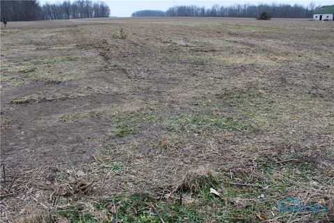 Vacant Land For Sale - S Davis Street<br/> Hardin County, Forest, OH 45843