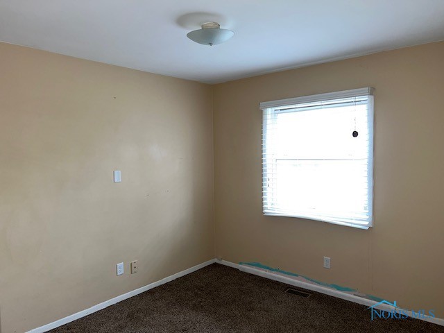702 Palmwood Street, Delta, Ohio image 23