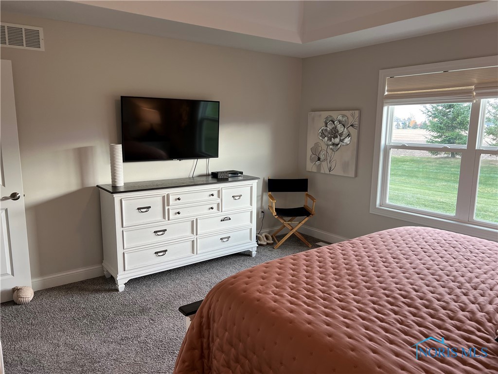 10319 Blue Ridge Drive, Whitehouse, Ohio image 10