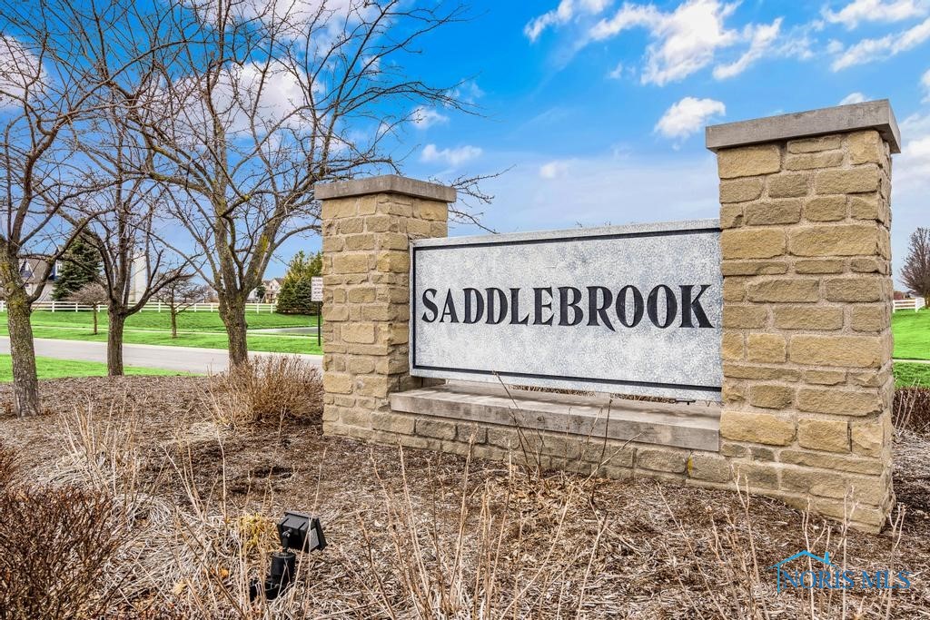 25210 Saddle Horn Drive, Perrysburg, Ohio image 50