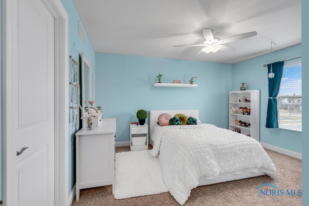25210 Saddle Horn Drive, Perrysburg, Ohio image 31