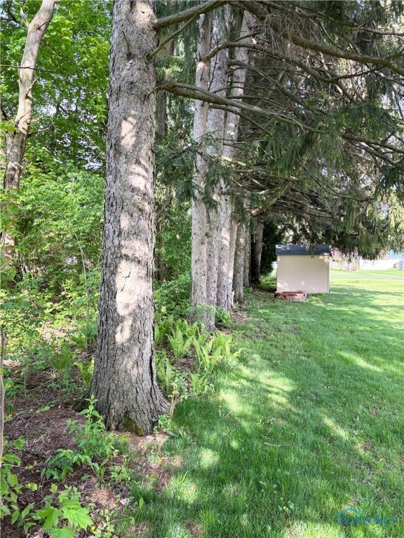 300 Irene Court, Fayette, Ohio image 45