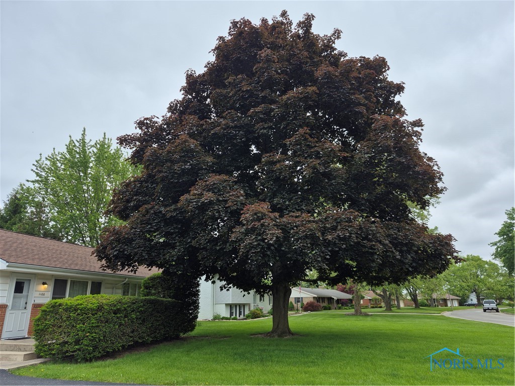 1100 Cherry Lane, Findlay, Ohio image 31