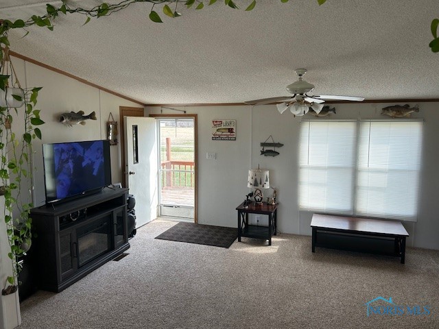 207 Modoc Trail, Montpelier, Ohio image 14