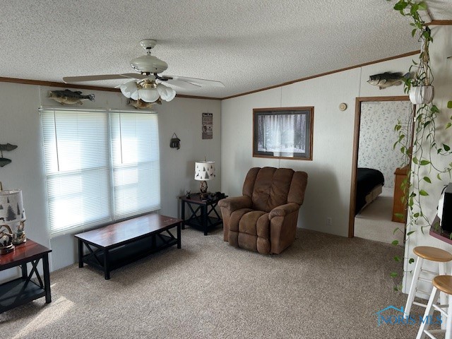 207 Modoc Trail, Montpelier, Ohio image 13