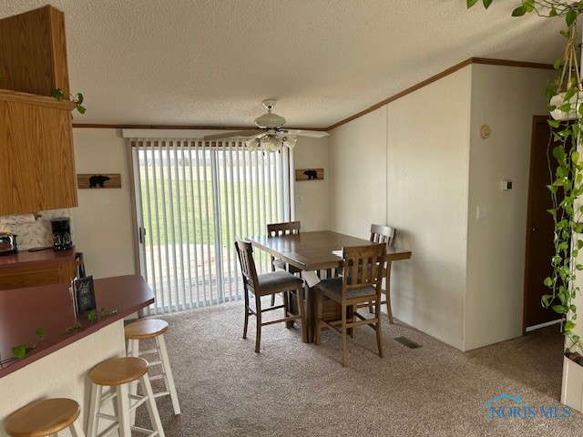 207 Modoc Trail, Montpelier, Ohio image 20