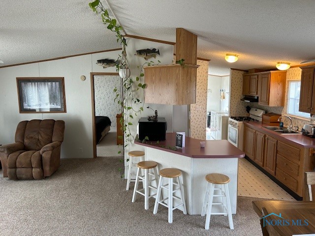 207 Modoc Trail, Montpelier, Ohio image 22