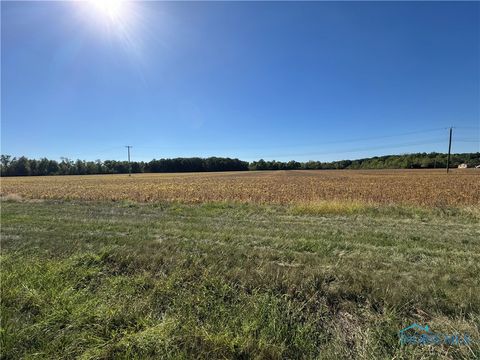 Photo of 0 N St Rt 66 State Highway, Defiance, OH 43512 (MLS # 6136541)