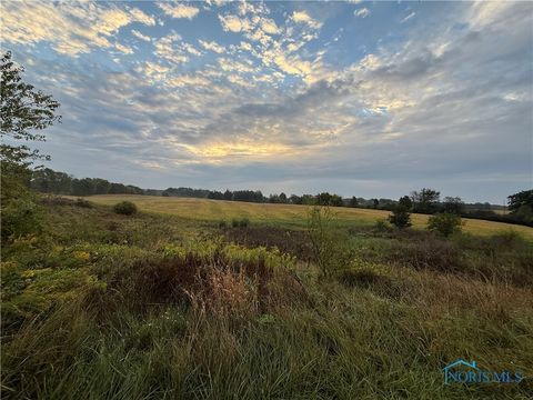 Tiny photo for 16702 State Route 49, Edon, OH 43518 (MLS # 6136548)