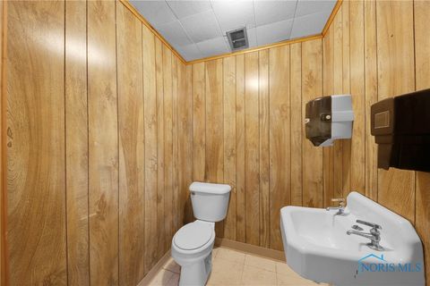 Tiny photo for 801 N Shoop Avenue, Wauseon, OH 43567 (MLS # 6136168)