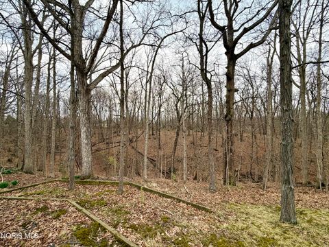 Tiny photo for 119 Cleveland Avenue, Defiance, OH 43512 (MLS # 10005766)