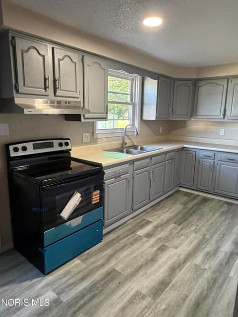 Tiny photo for 416 Railway Avenue, Holgate, OH 43527 (MLS # 10008582)