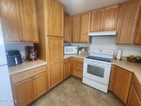 Tiny photo for 365 N Harmony Drive, Napoleon, OH 43545 (MLS # 10007029)
