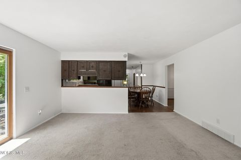 Tiny photo for 10855 S River Road, Grand Rapids, OH 43522 (MLS # 10008001)