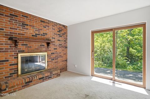 Tiny photo for 10855 S River Road, Grand Rapids, OH 43522 (MLS # 10008001)