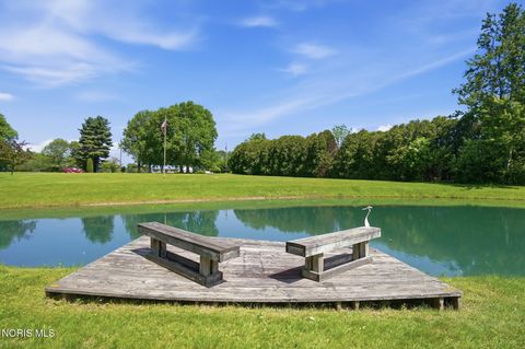 Tiny photo for 10855 S River Road, Grand Rapids, OH 43522 (MLS # 10008001)